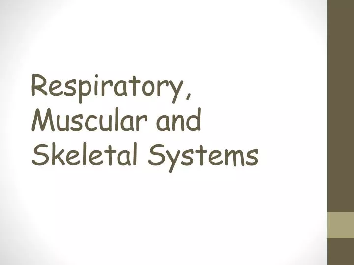 respiratory muscular and skeletal systems