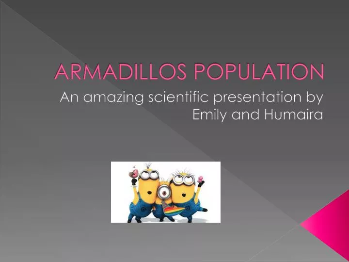 armadillos population