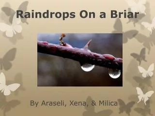 Raindrops On a Briar