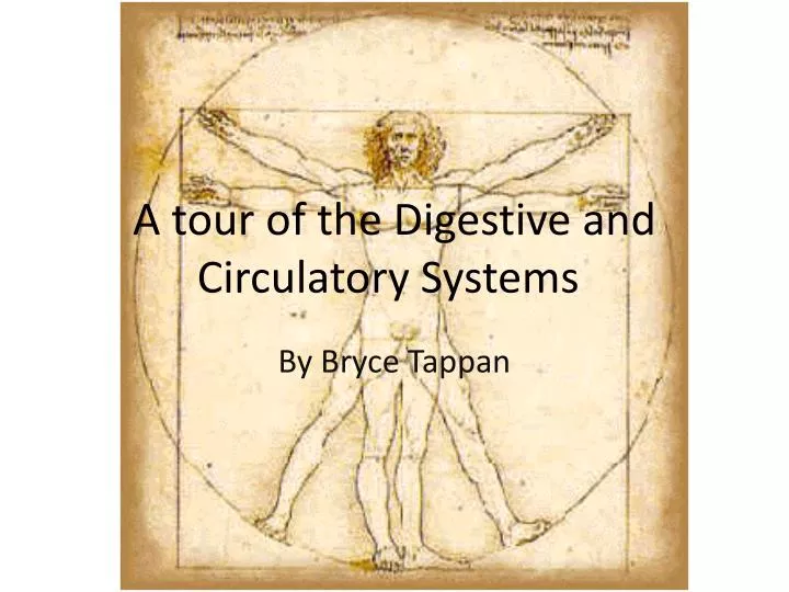 a tour of the digestive and circulatory systems