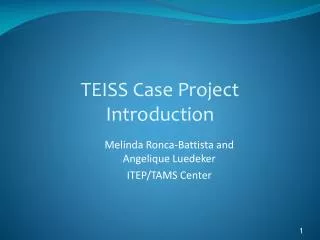 TEISS Case Project Introduction
