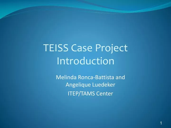 teiss case project introduction