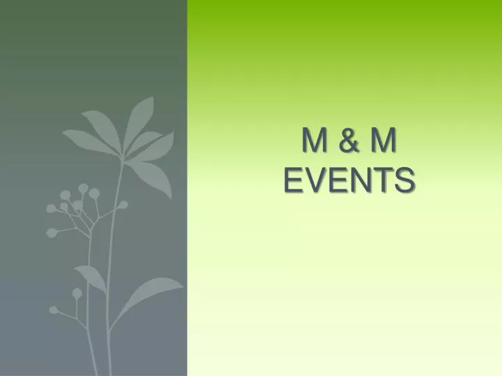 m m events