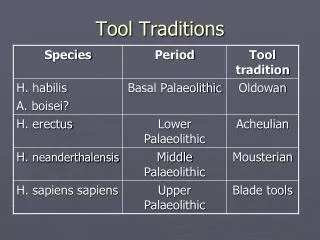 Tool Traditions
