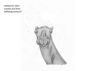 HAHA!!!  YES!! Camels and their deflating humps:P