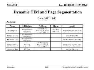 Dynamic TIM and Page Segmentation