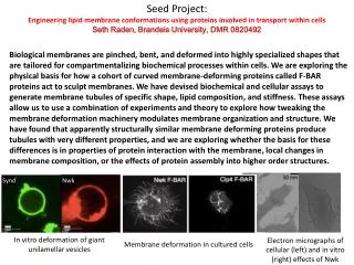 Seed Project: