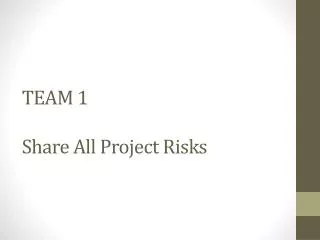 TEAM 1 Share All Project Risks