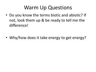 Warm Up Questions