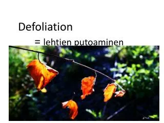 Defoliation 		= lehtien putoaminen