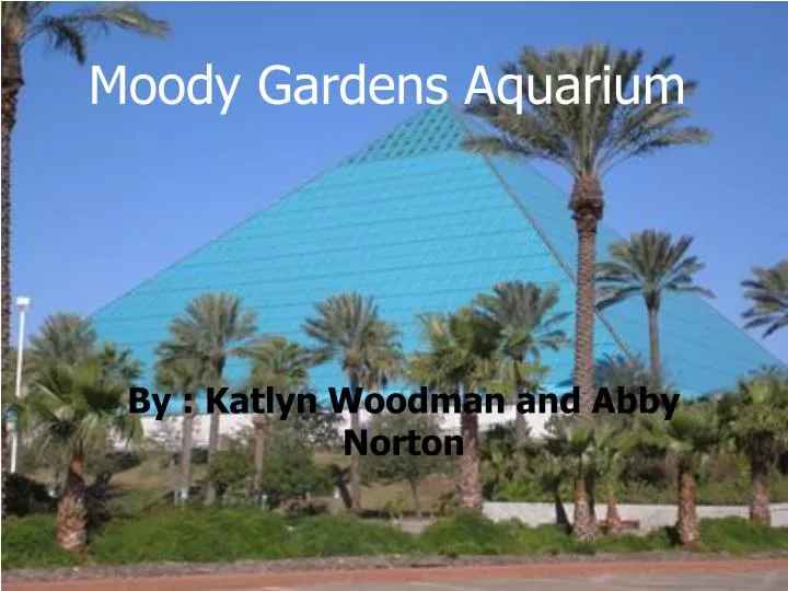 moody gardens aquarium
