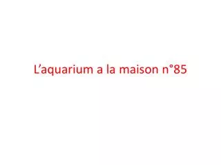 l aquarium a la maison n 85
