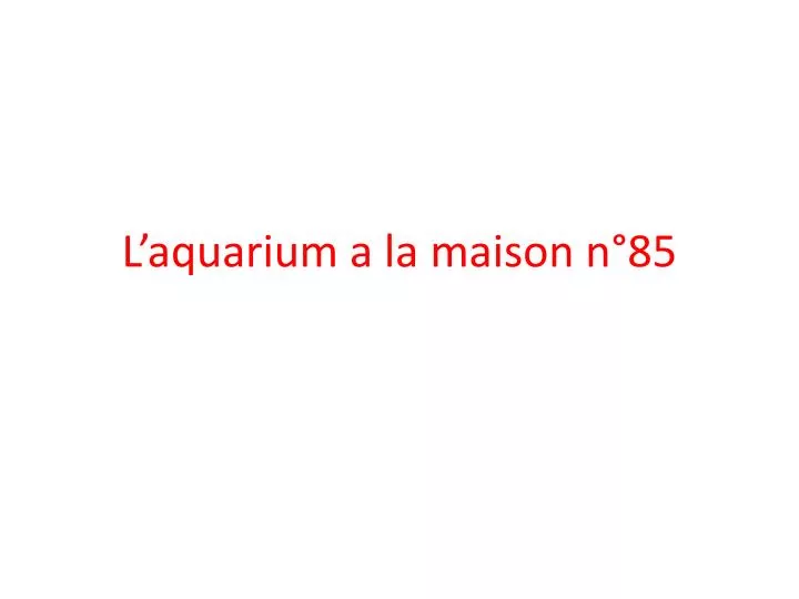 l aquarium a la maison n 85