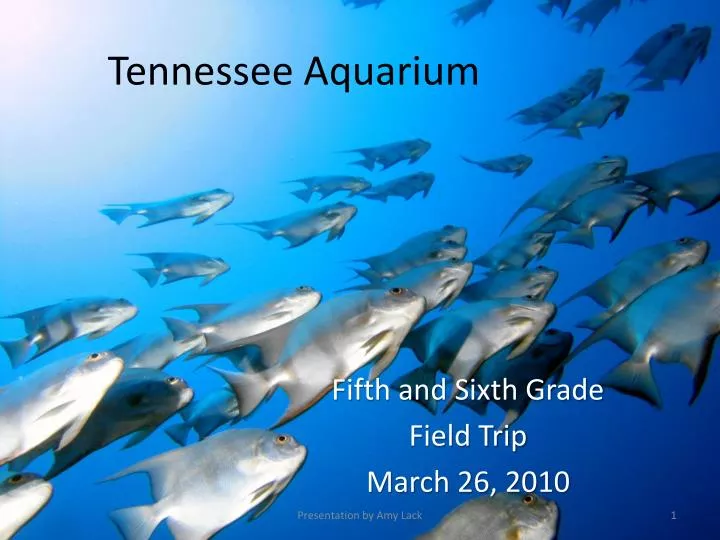 tennessee aquariu m