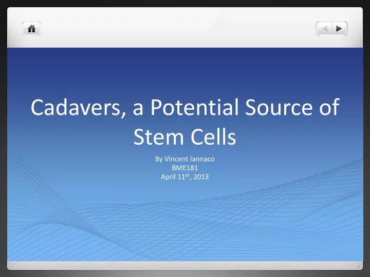 cadavers a potential source of stem cells