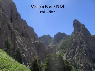 VectorBase NM Phil Baker