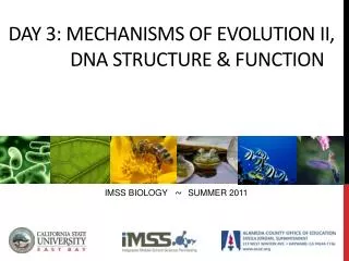 DAY 3: Mechanisms of evolution II, 	 DNA Structure &amp; function