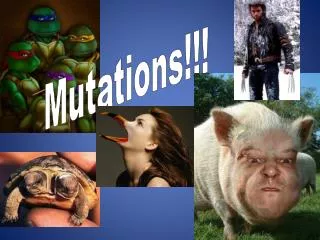 Mutations!!!
