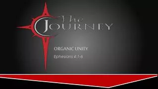 Organic Unity
