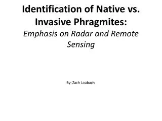 Identification of Native vs . Invasive Phragmites : Emphasis on Radar and Remote Sensing