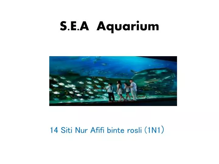 s e a aquarium