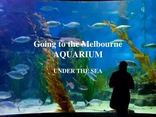 Going to the Melbourne AQUARIUM