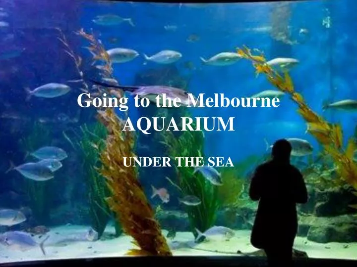 going to the melbourne aquarium