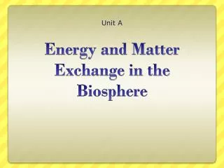 Energy and Matter Exchange in the Biosphere