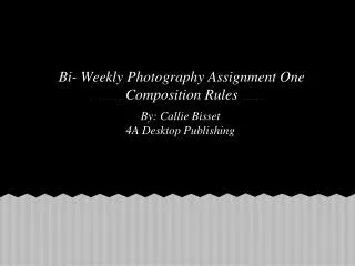 Bi- Weekly Photography Assignment One Composition Rules