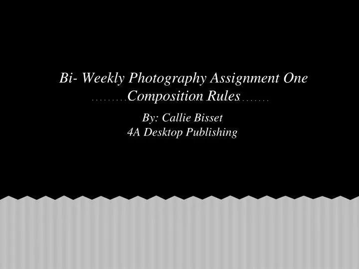 bi weekly photography assignment one composition rules