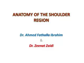 ANATOMY OF THE SHOULDER REGION