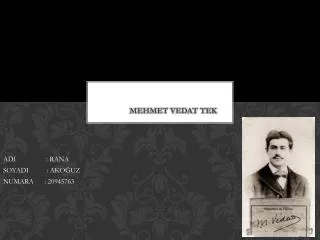 mehmet vedat tek