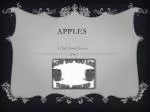 Apples - slide 1