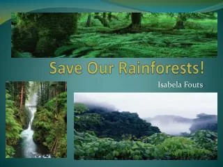 Save Our Rainforests!