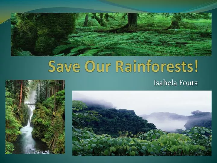 save our rainforests