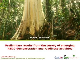 Preliminary results from the survey of emerging REDD demonstration and readiness activities