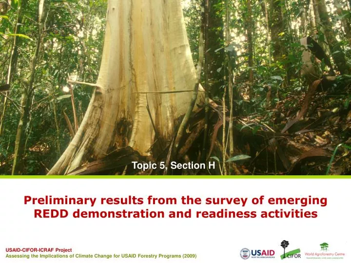 preliminary results from the survey of emerging redd demonstration and readiness activities