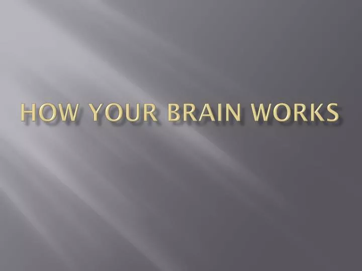 how your brain works