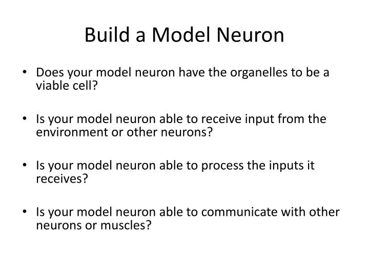 build a model neuron