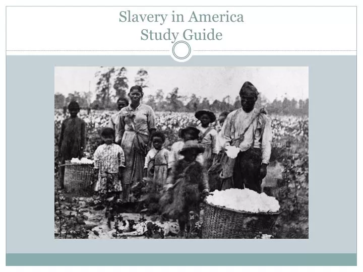 slavery in america study guide