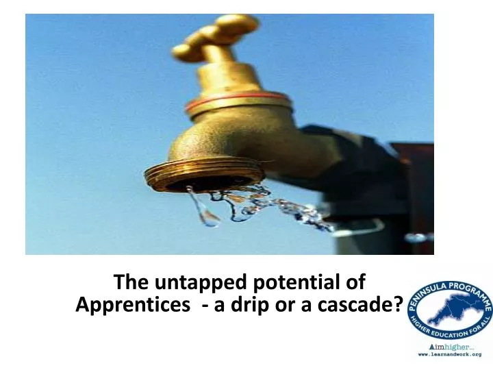 the untapped potential of apprentices a drip or a cascade