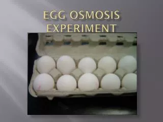 Egg Osmosis Experiment