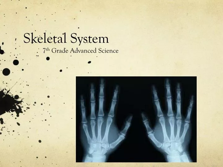 skeletal system