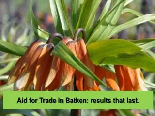 Aid for Trade in Batken : results that last.