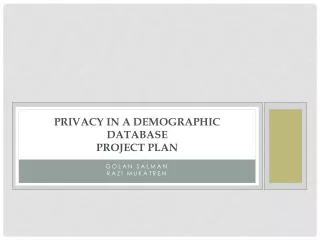 Privacy in a Demographic Database Project plan