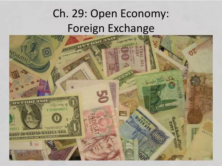 ch 29 open economy foreign exchange