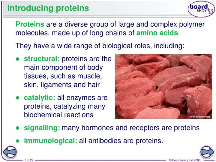 introducing proteins