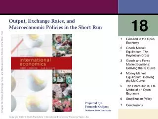 Output, Exchange Rates, and Macroeconomic Policies in the Short Run