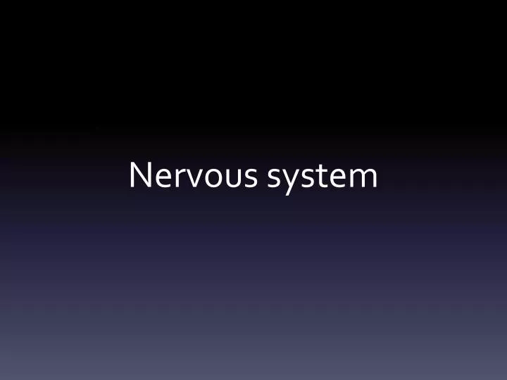 nervous system