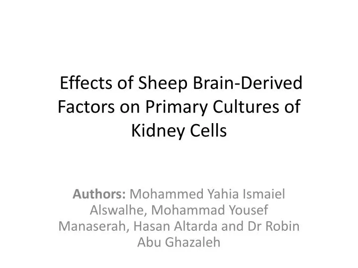effects of sheep brain derived factors on primary cultures of kidney cells